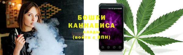 гидра Аркадак