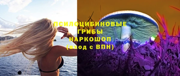 СК Арсеньев