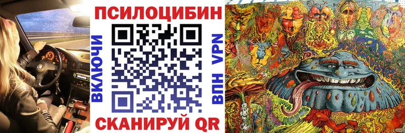 Галлюциногенные грибы Psilocybine cubensis  купить наркотики цена  Маркс 